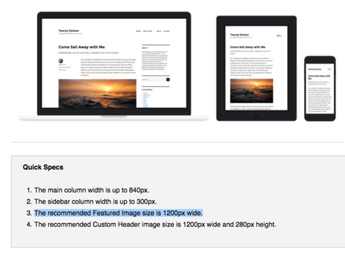 2016 Theme Featured Image Size
